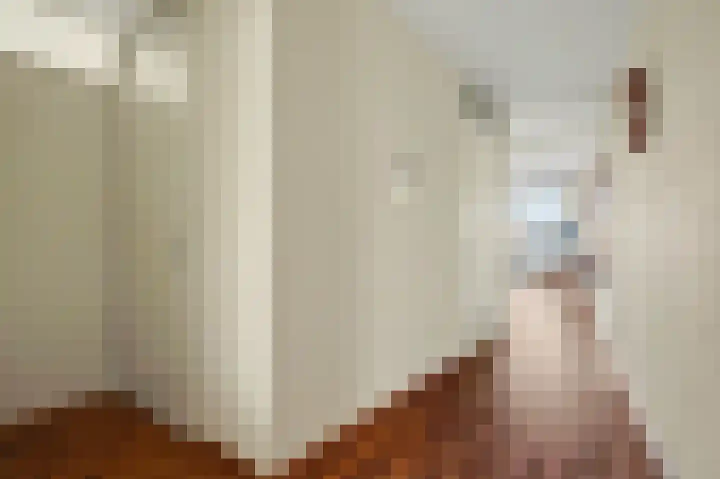 den Doolaardstraat 31 Oud-Beijerland thumbnail 6