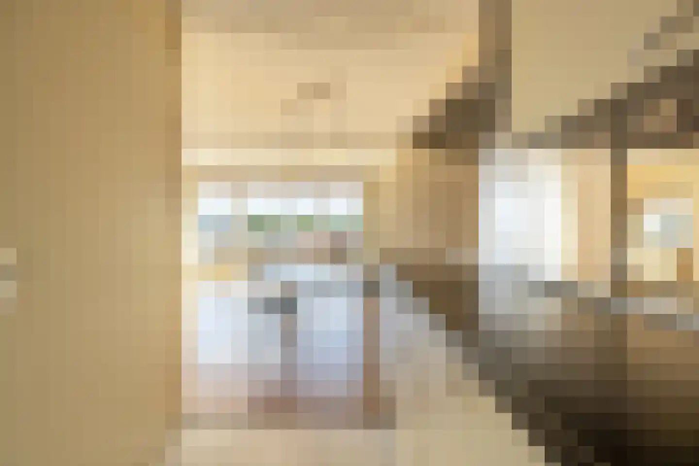 den Doolaardstraat 42 Oud-Beijerland thumbnail 17