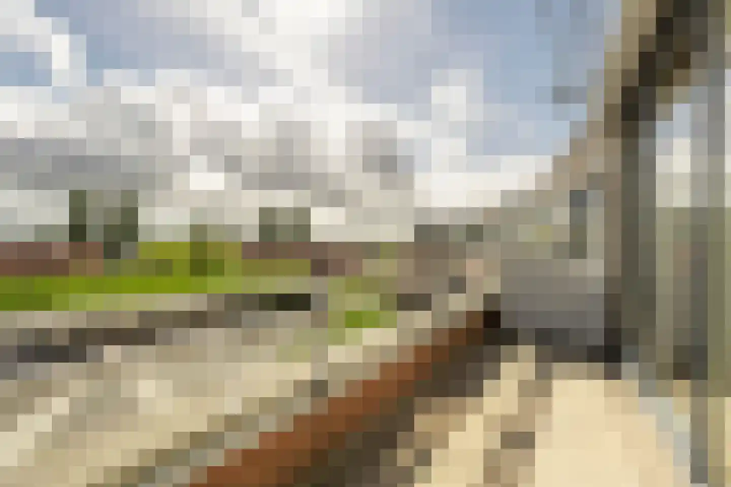 den Doolaardstraat 42 Oud-Beijerland thumbnail 29