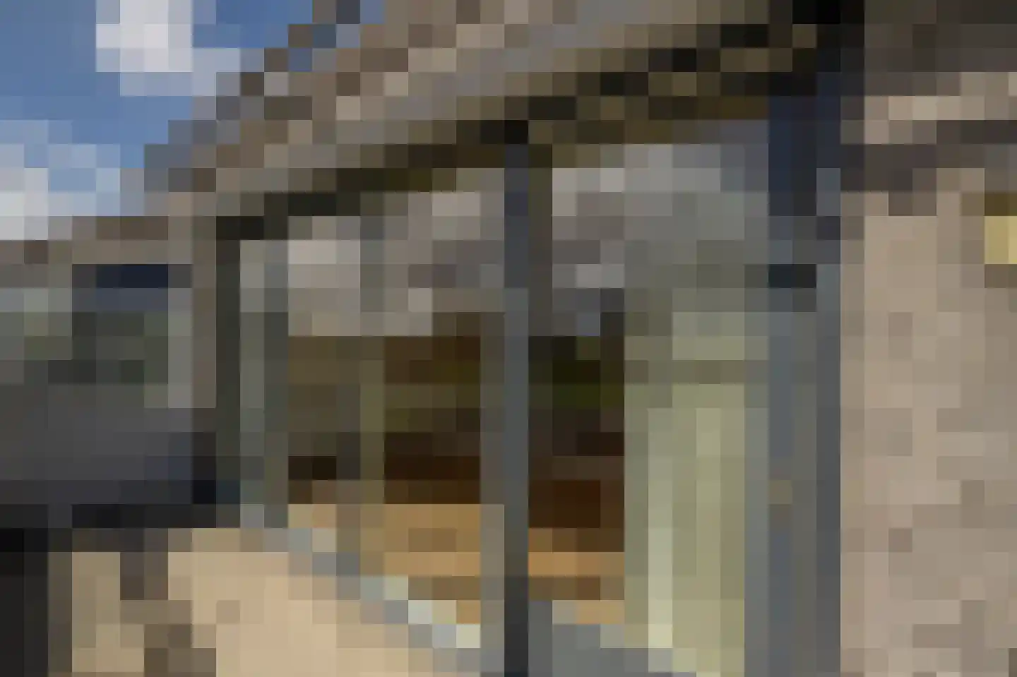 den Doolaardstraat 42 Oud-Beijerland thumbnail 30