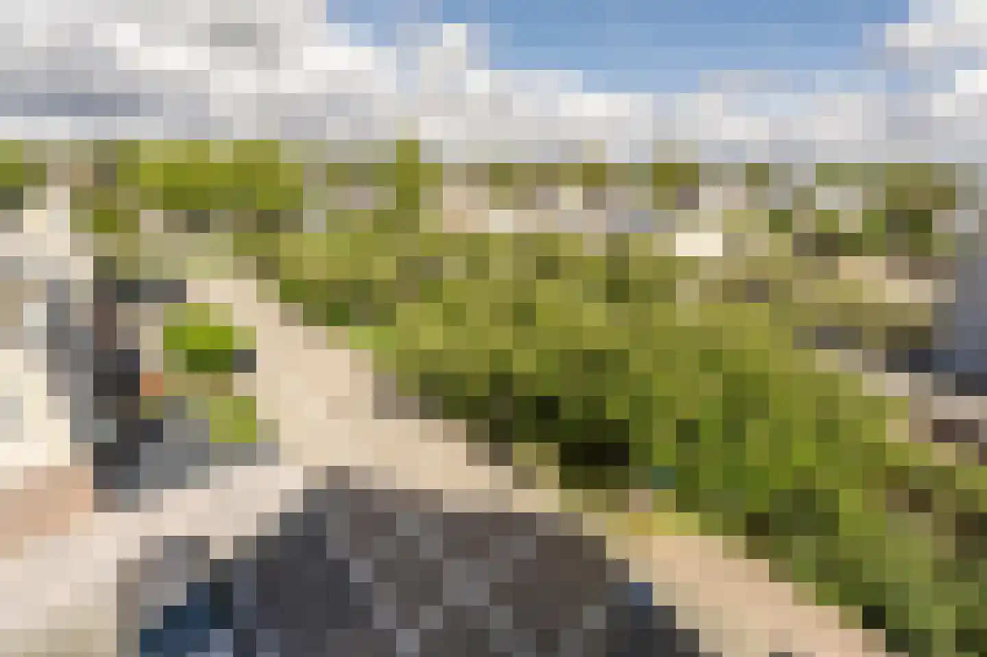 den Doolaardstraat 42 Oud-Beijerland thumbnail 33