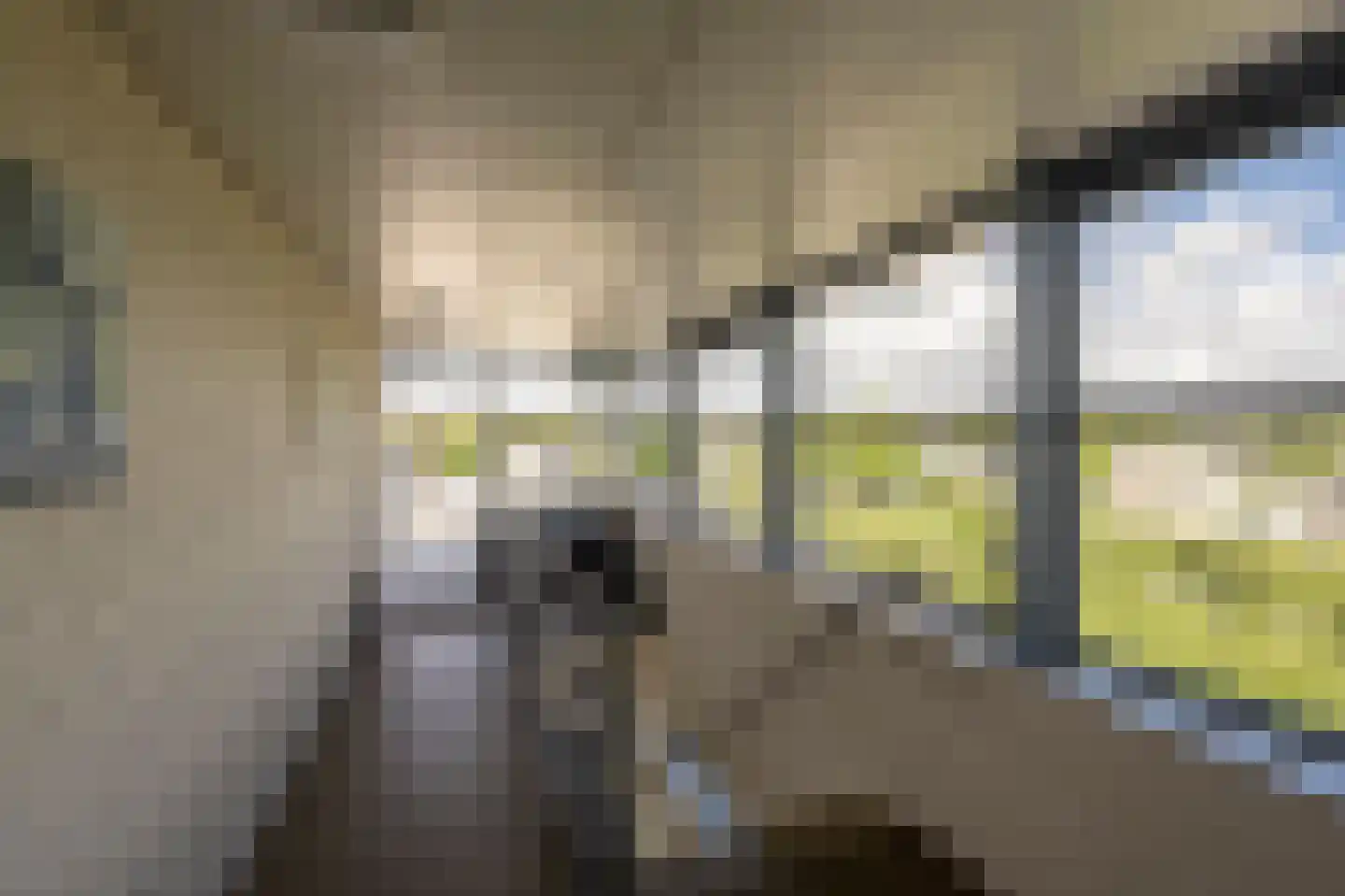 den Doolaardstraat 42 Oud-Beijerland thumbnail 36