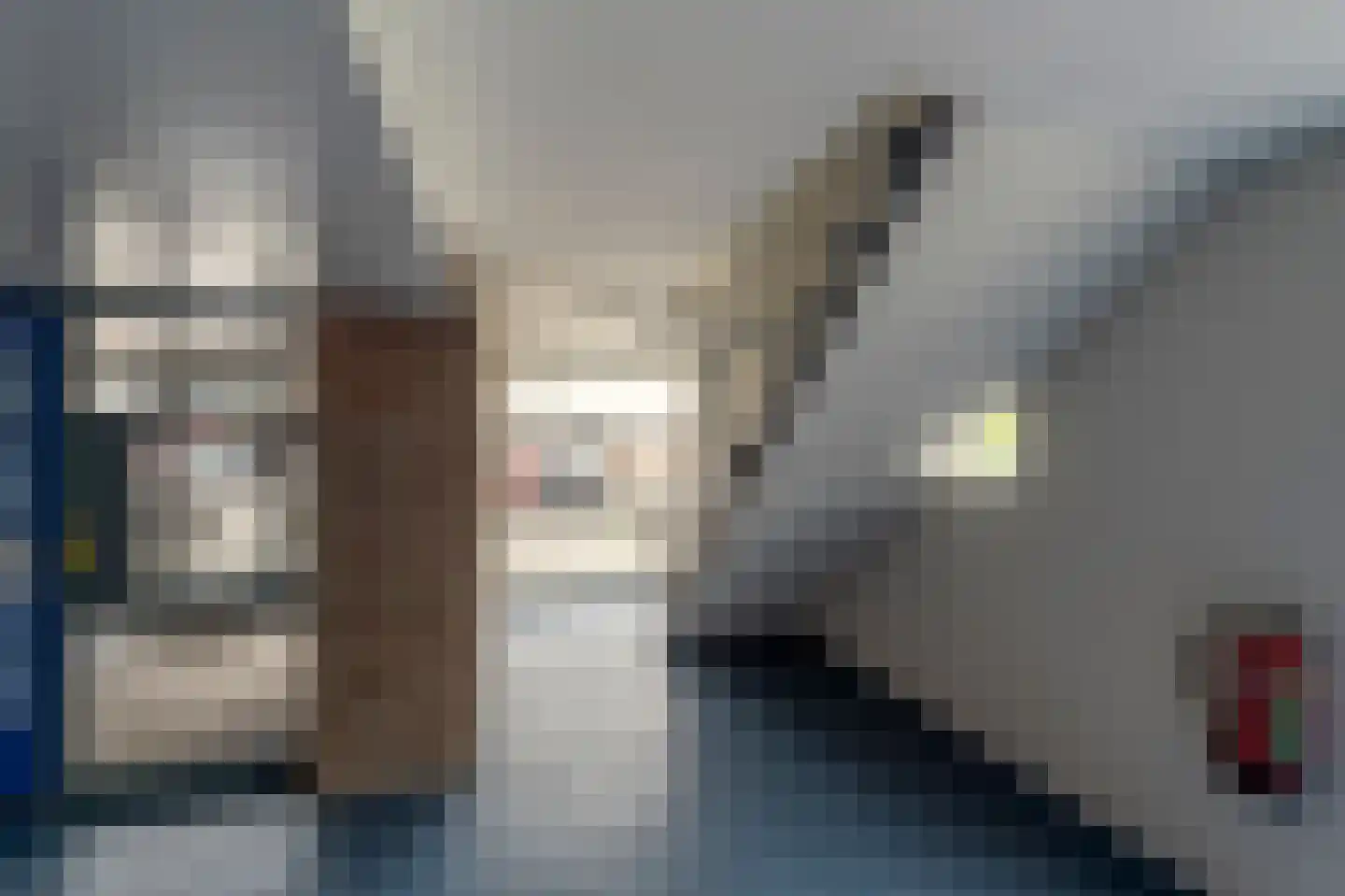 den Doolaardstraat 42 Oud-Beijerland thumbnail 38