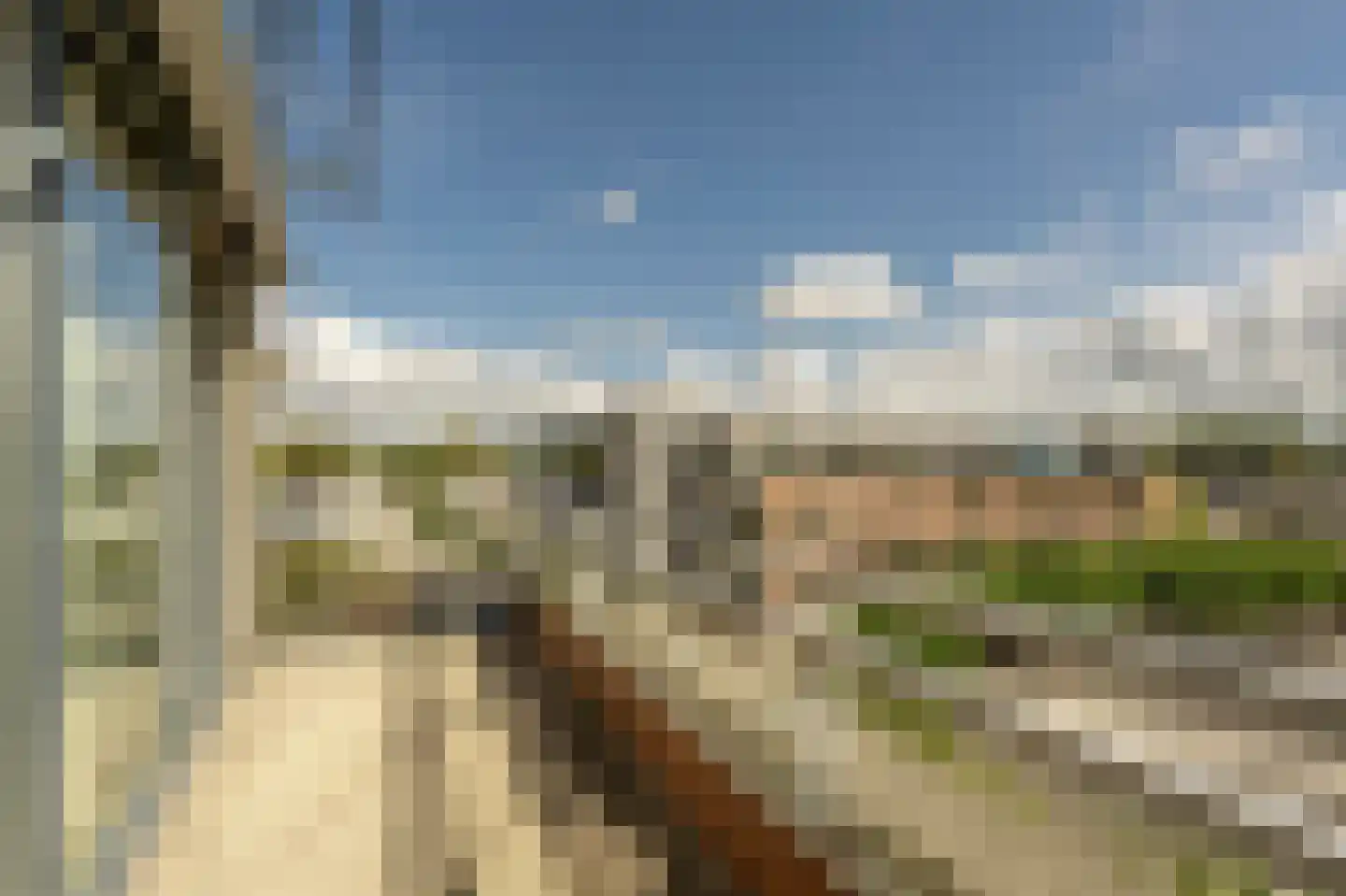den Doolaardstraat 42 Oud-Beijerland thumbnail 4