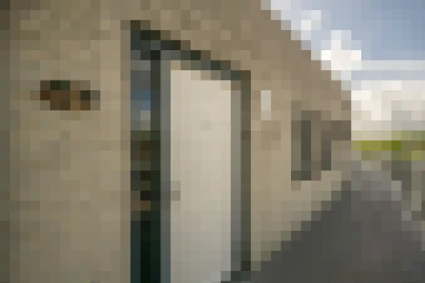 den Doolaardstraat 42 Oud-Beijerland thumbnail 5