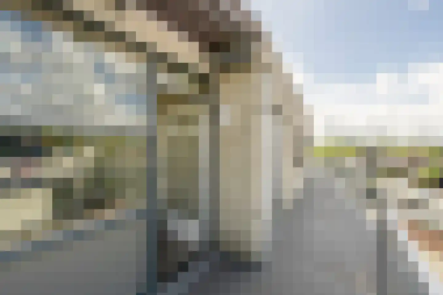 den Doolaardstraat 42 Oud-Beijerland thumbnail 6