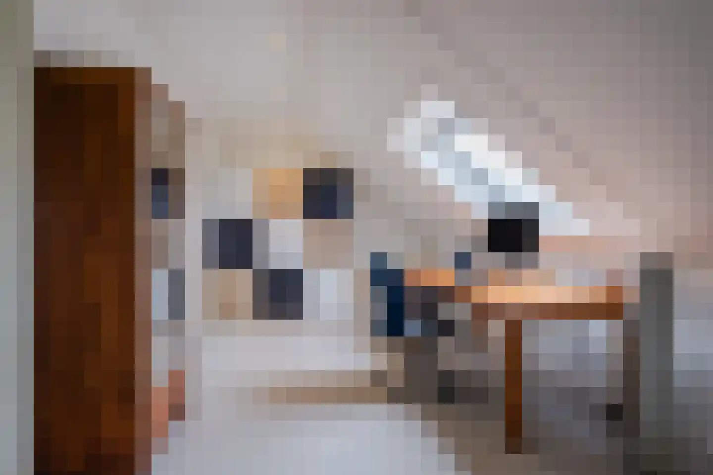 den Draal 9 Valkenswaard thumbnail 31
