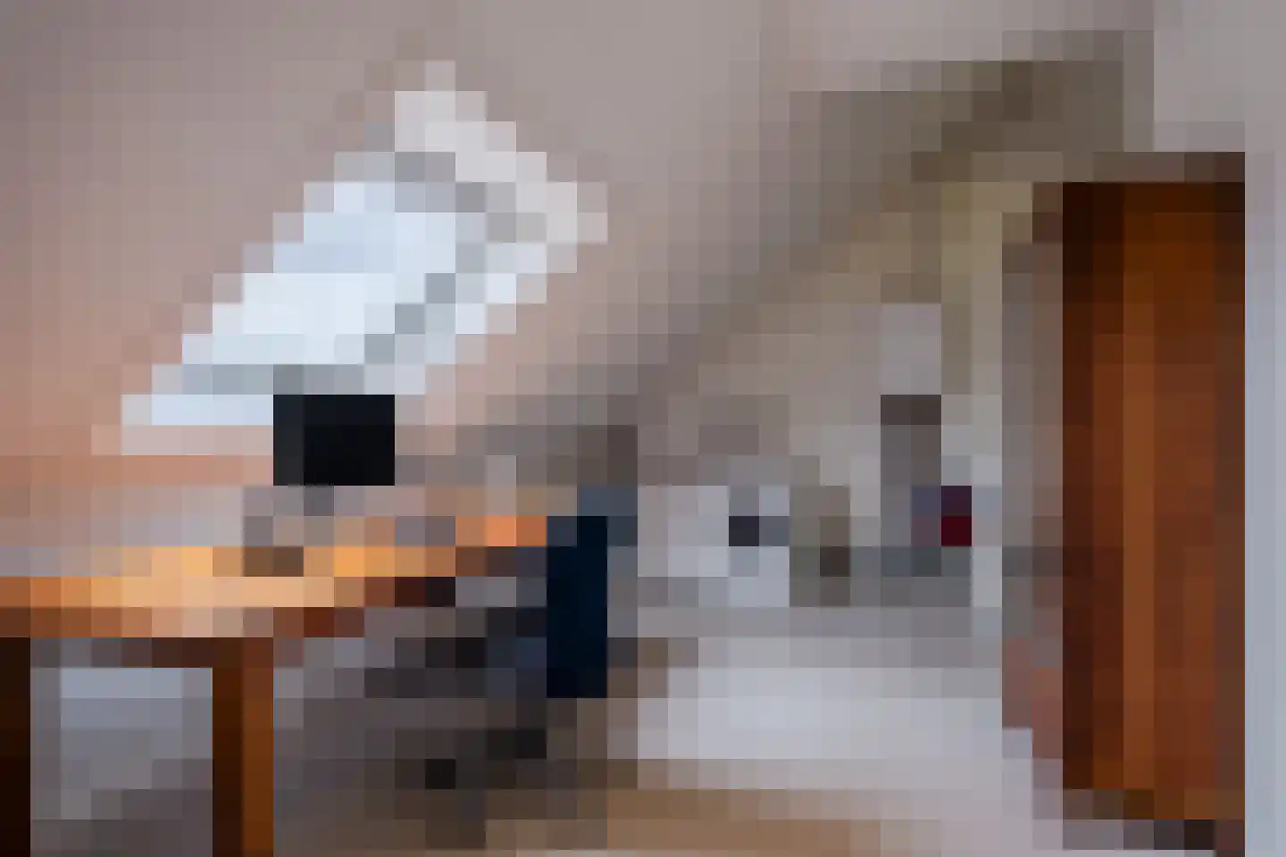 den Draal 9 Valkenswaard thumbnail 32