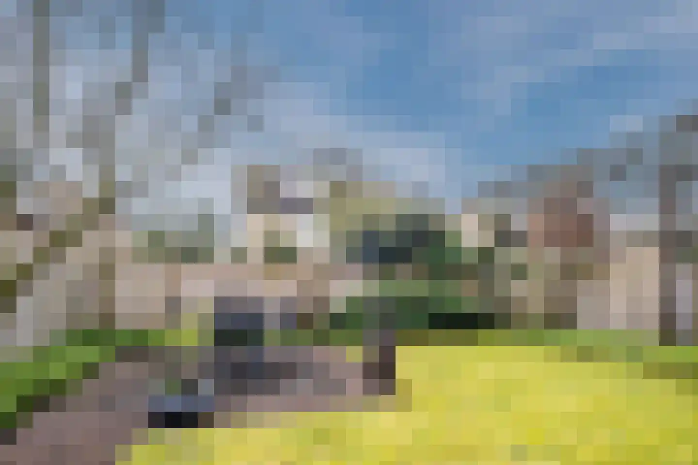 den Draal 9 Valkenswaard thumbnail 35