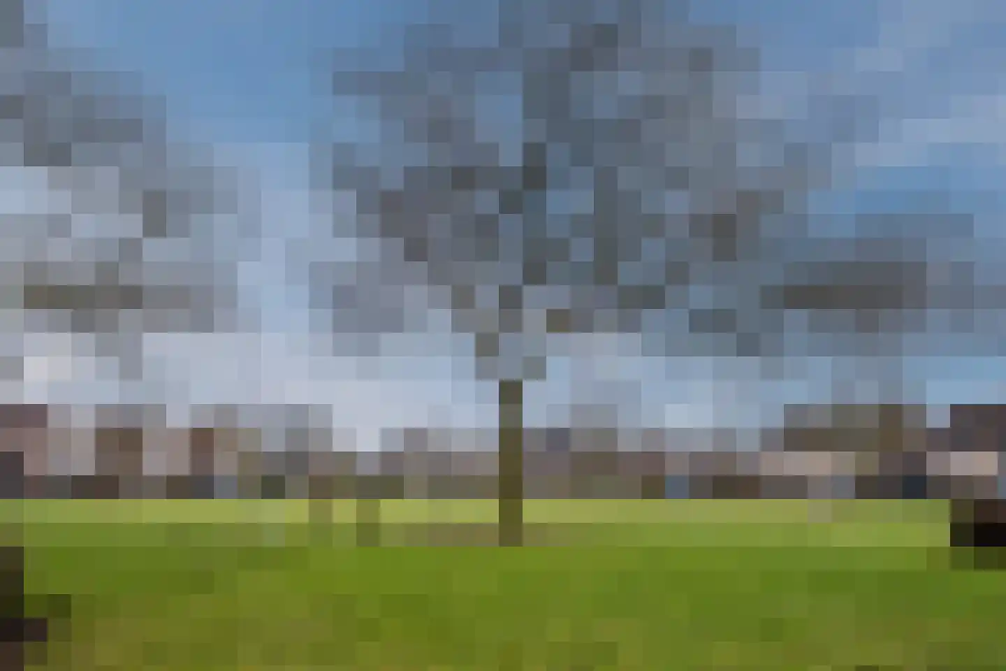 den Draal 9 Valkenswaard thumbnail 40