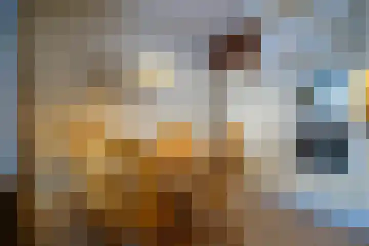 Den Dries 15 Gilze thumbnail 10