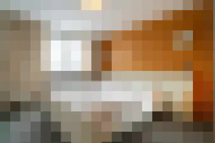 Den Dries 15 Gilze thumbnail 16