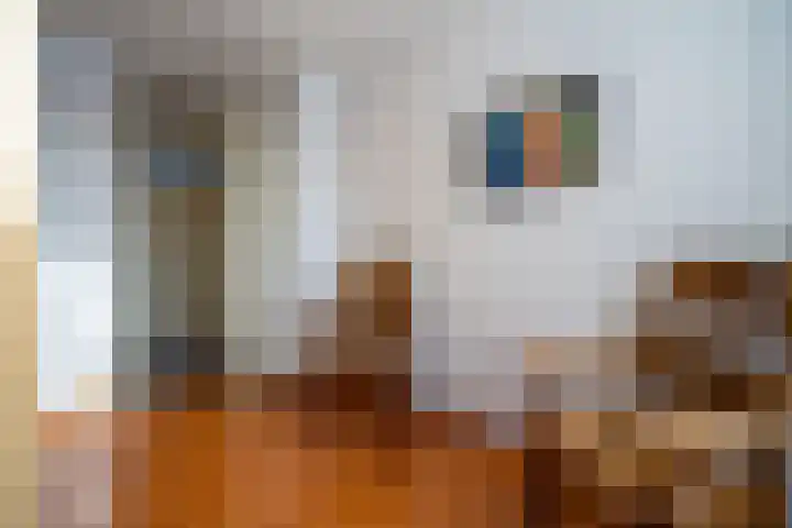 Den Dries 15 Gilze thumbnail 21