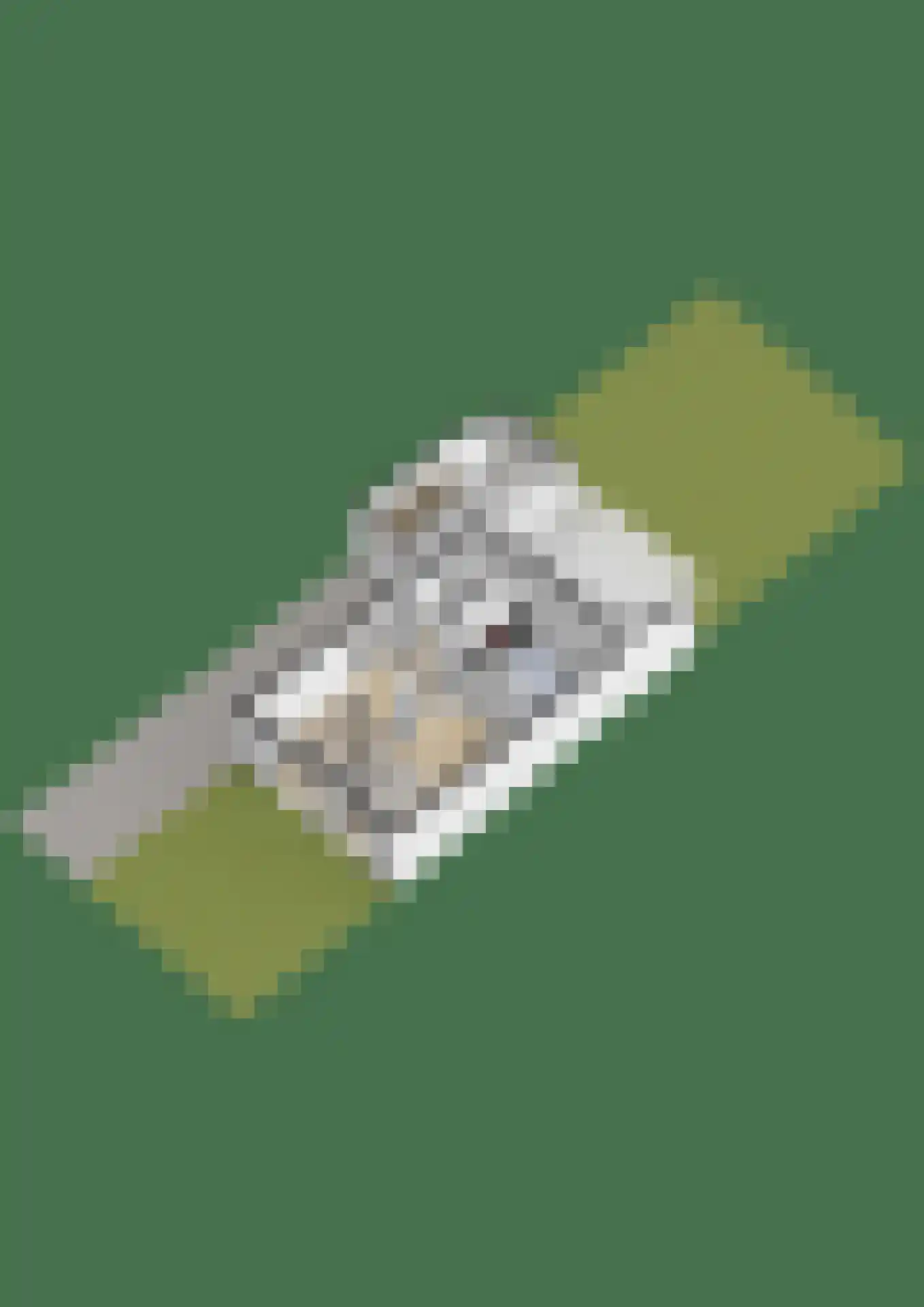 Den Dries 15 Gilze thumbnail 36