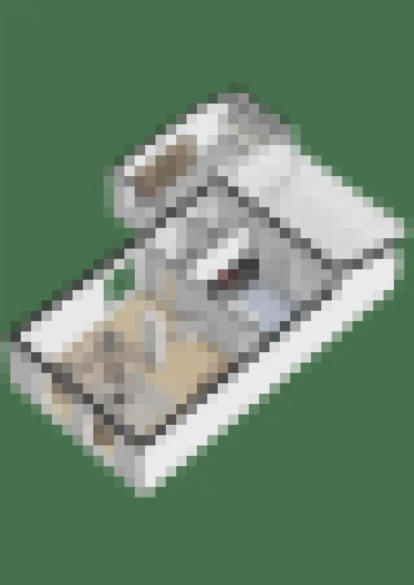 Den Dries 15 Gilze thumbnail 38