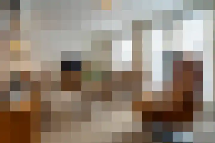 Den Dries 15 Gilze thumbnail 5