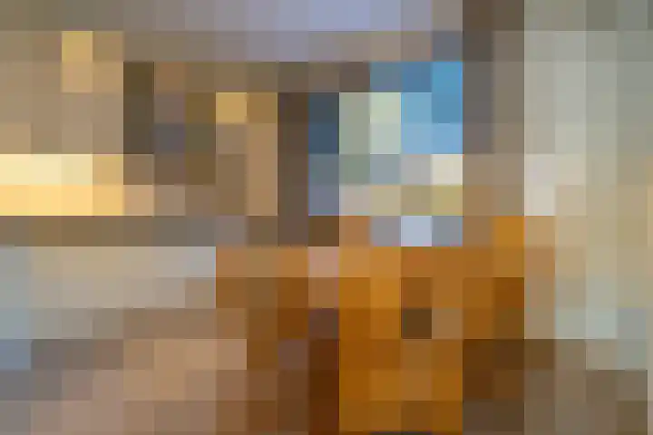 Den Dries 15 Gilze thumbnail 8