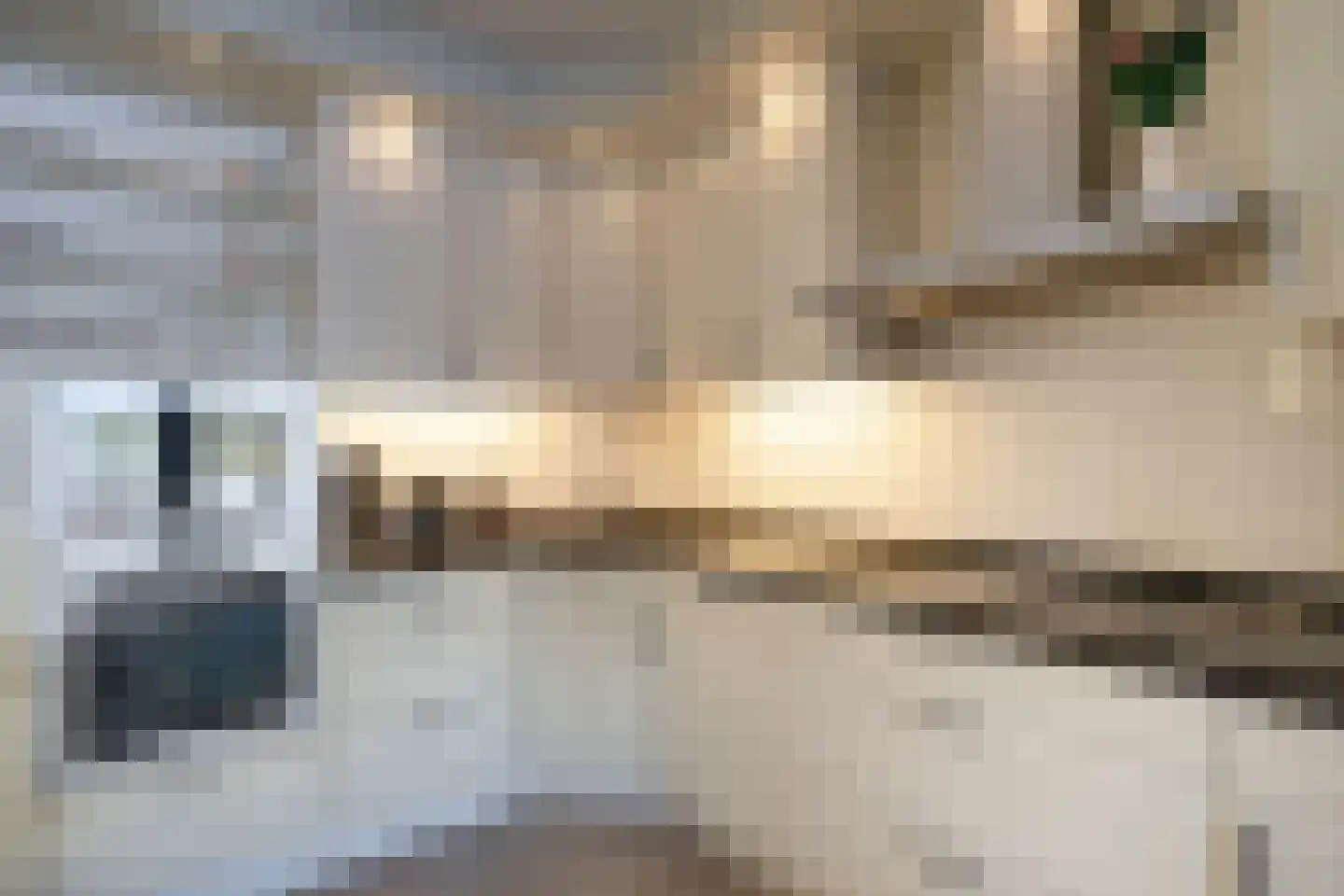 Den Dries 15 Gilze thumbnail 9