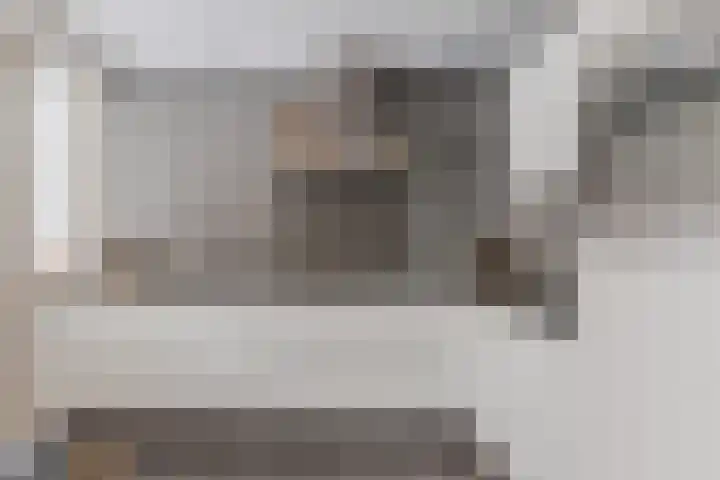 den Dries 19 Reusel thumbnail 11