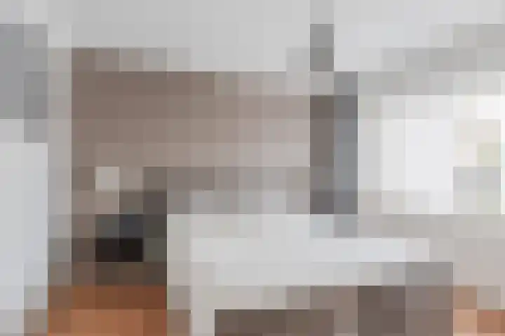 den Dries 19 Reusel thumbnail 19