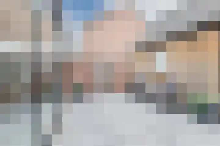 den Dries 19 Reusel thumbnail 27