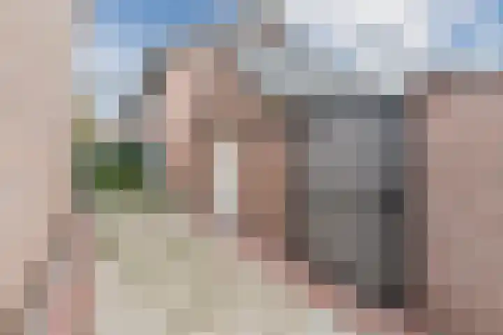 den Dries 19 Reusel thumbnail 33