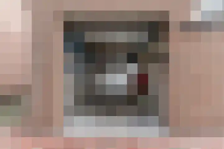 den Dries 19 Reusel thumbnail 34