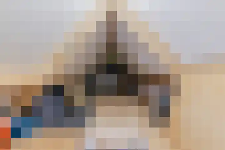 den Dries 19 Reusel thumbnail 39