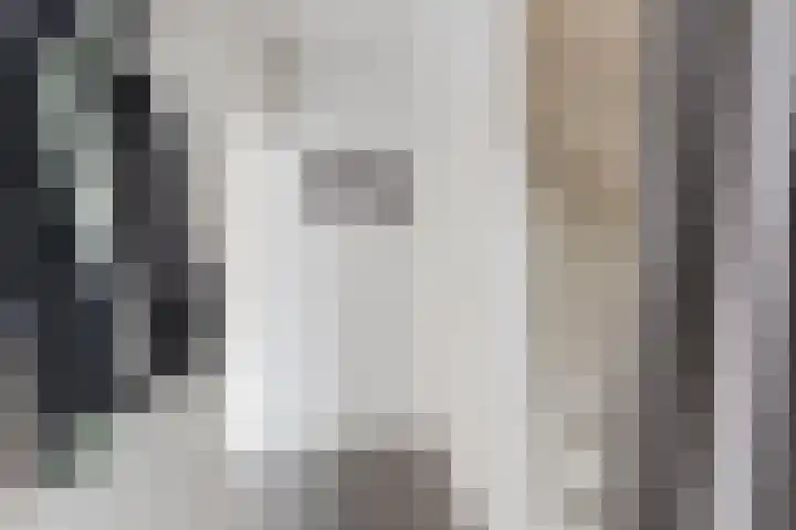 den Dries 19 Reusel thumbnail 4