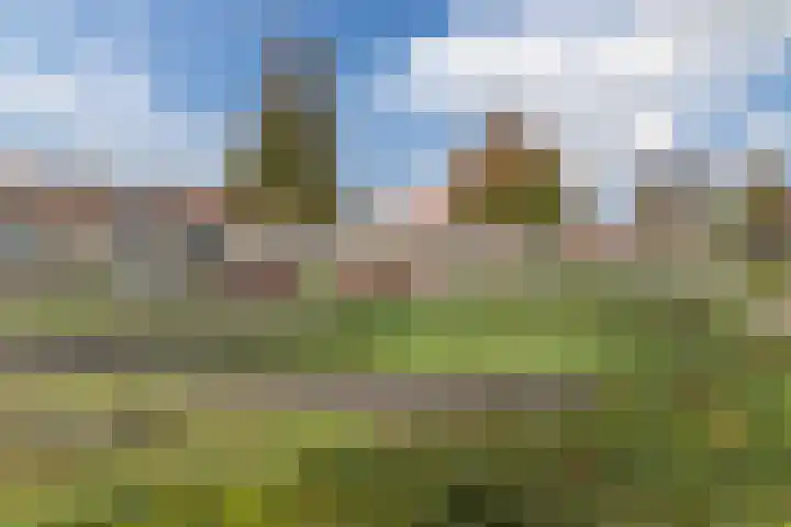 den Dries 19 Reusel thumbnail 42