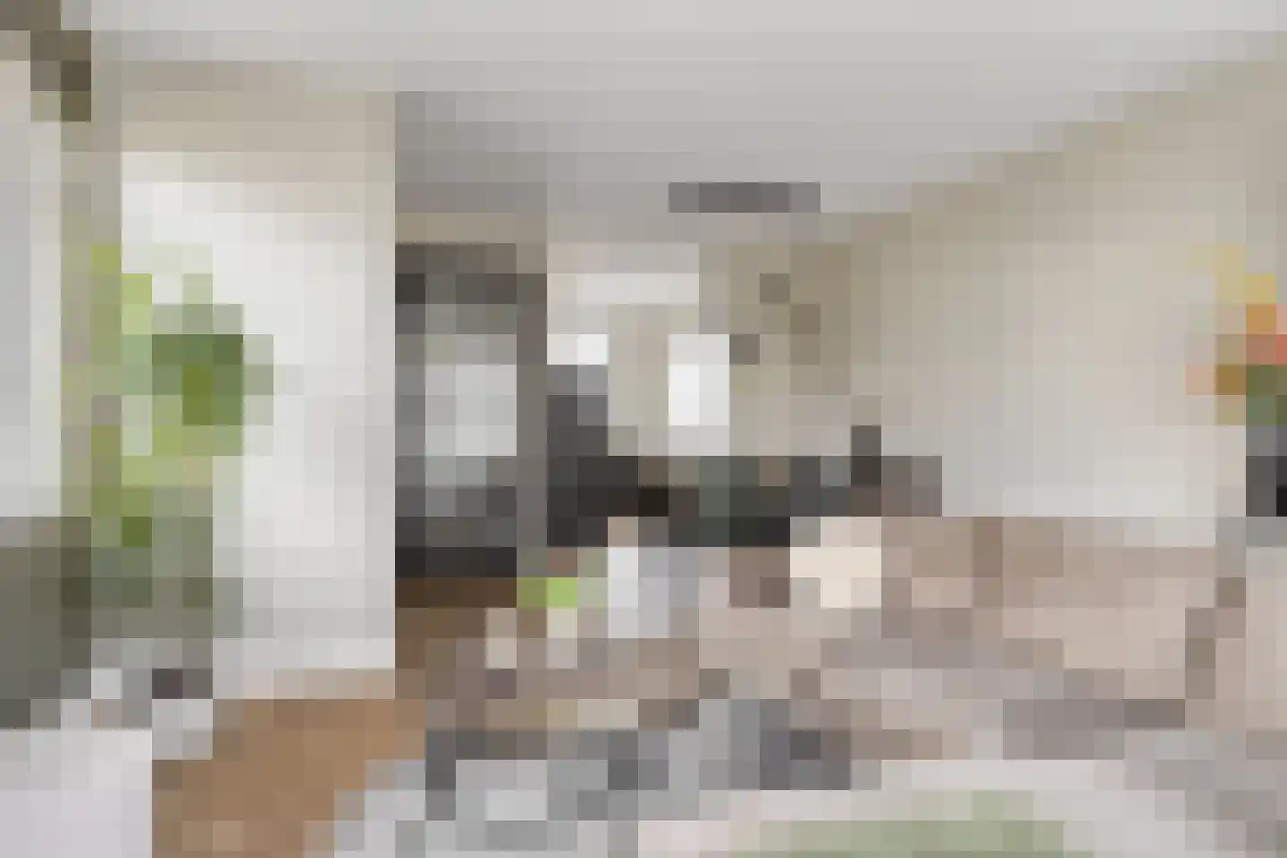 Den Dries 2 Boekel thumbnail 16