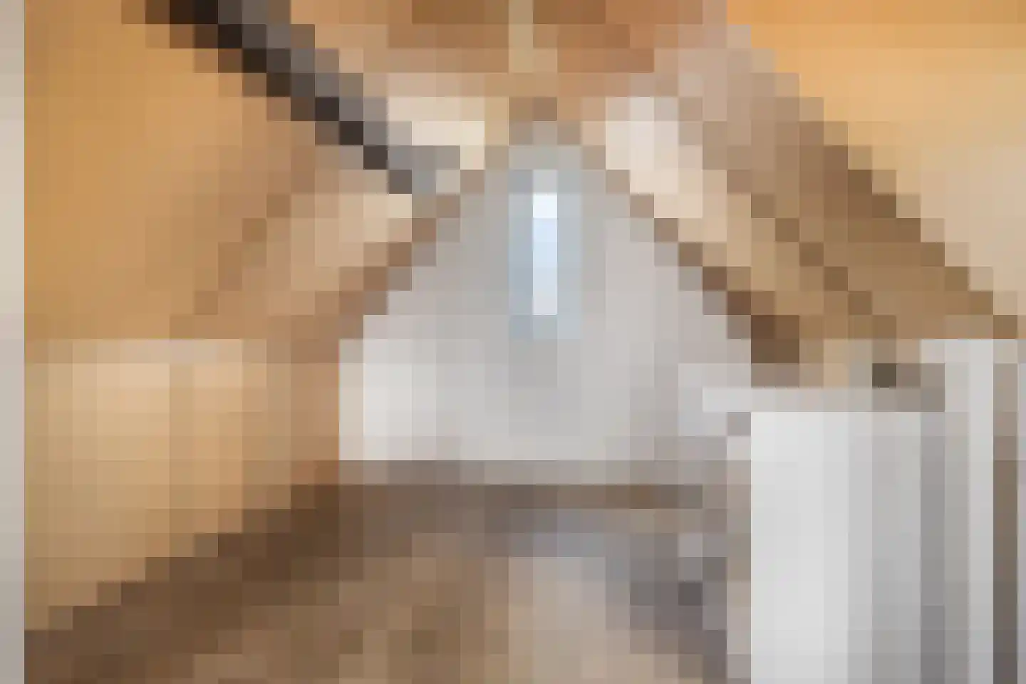 Den Dries 2 Boekel thumbnail 31