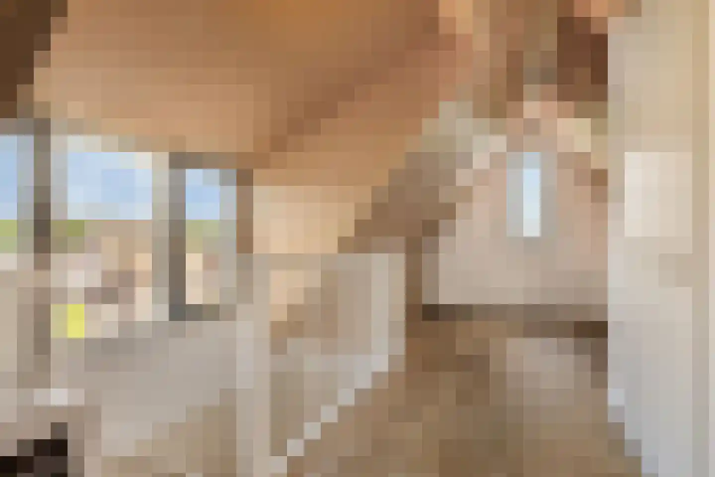 Den Dries 2 Boekel thumbnail 32