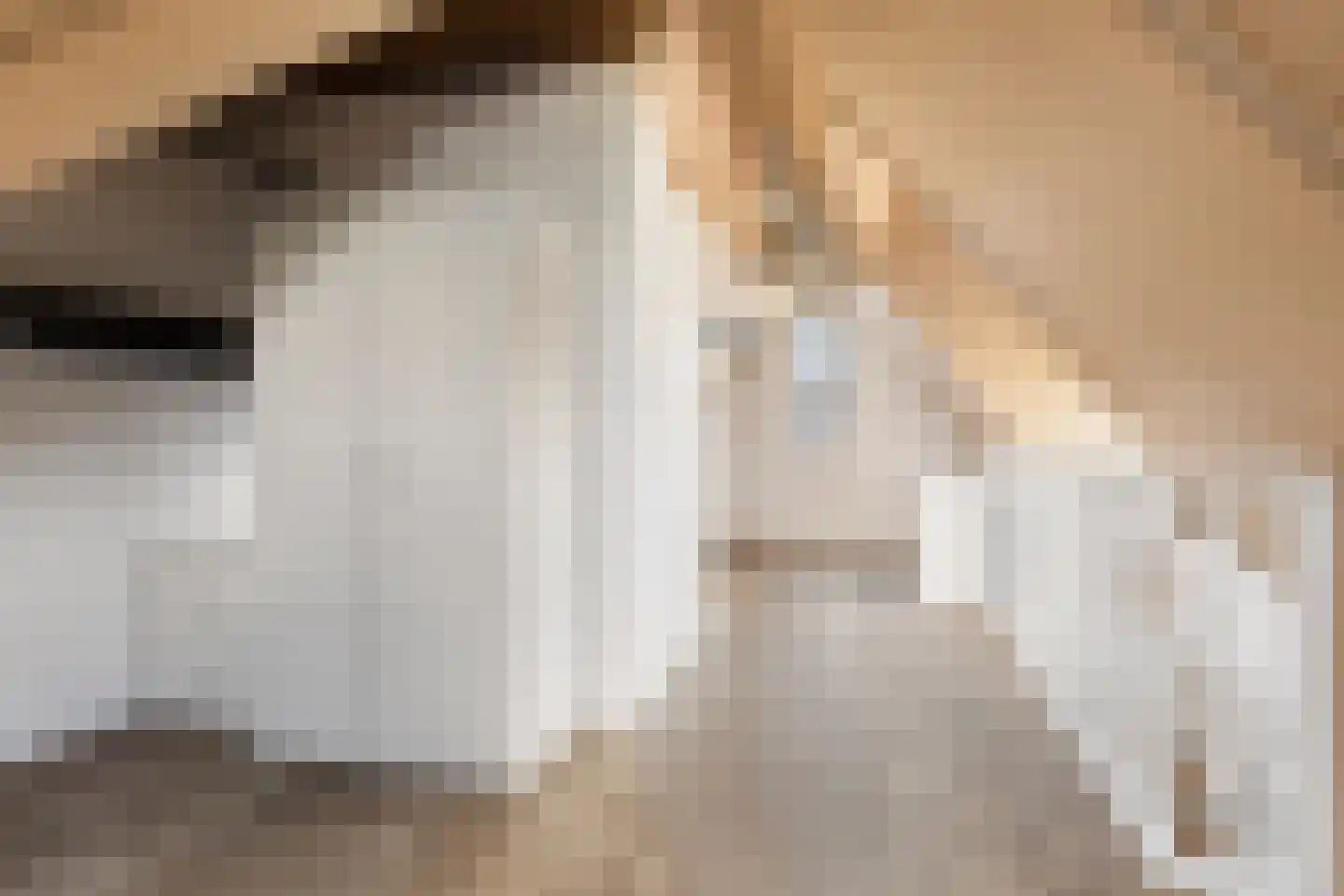 Den Dries 2 Boekel thumbnail 34