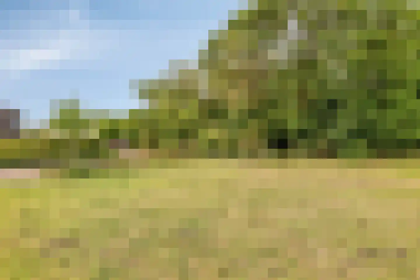 Den Dries 2 Boekel thumbnail 43