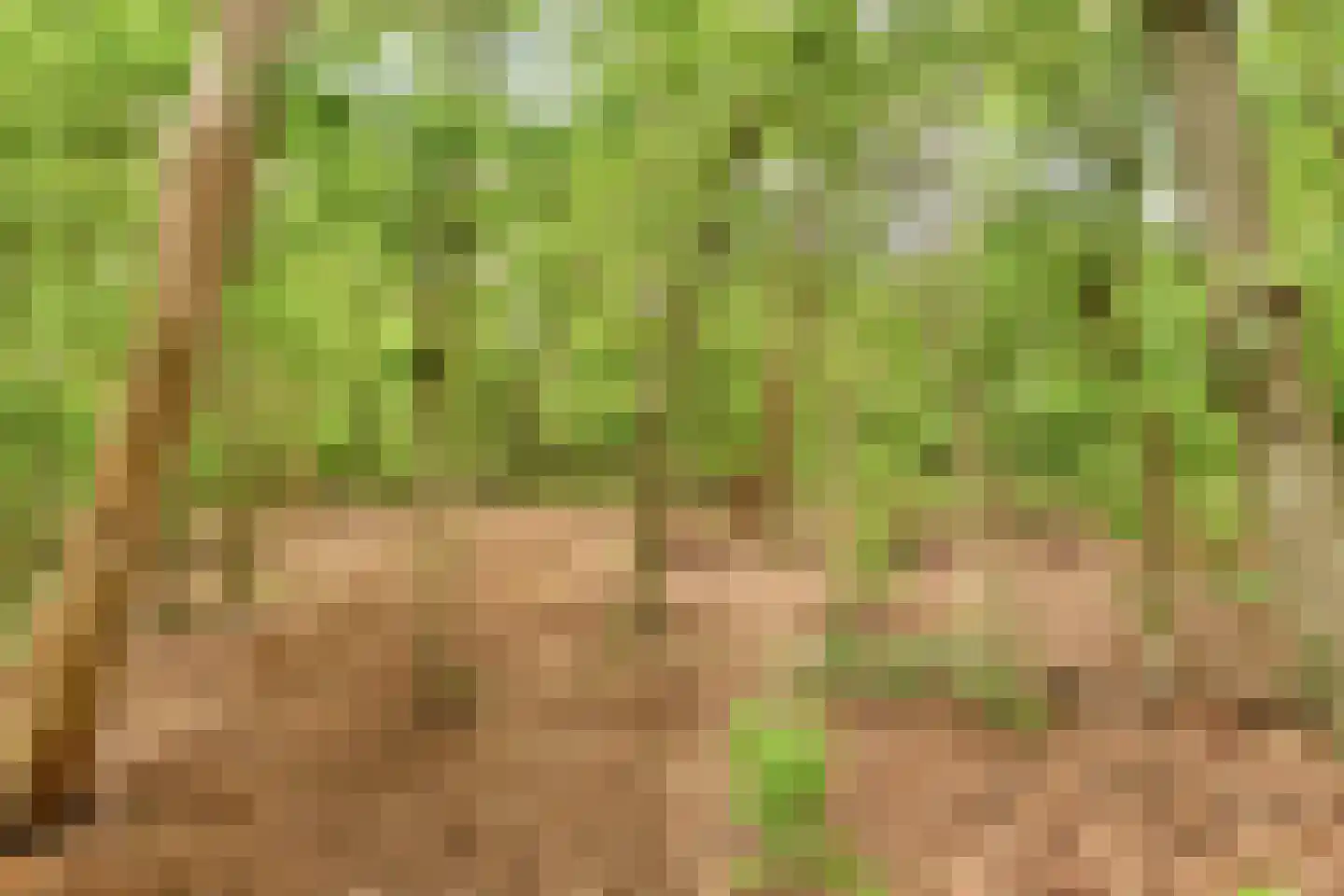 Den Dries 2 Boekel thumbnail 44