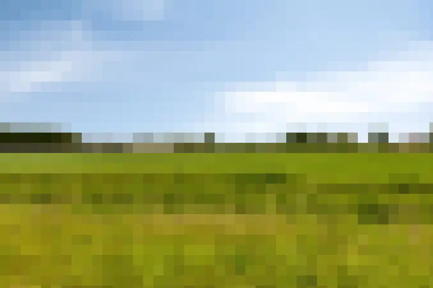 Den Dries 2 Boekel thumbnail 45