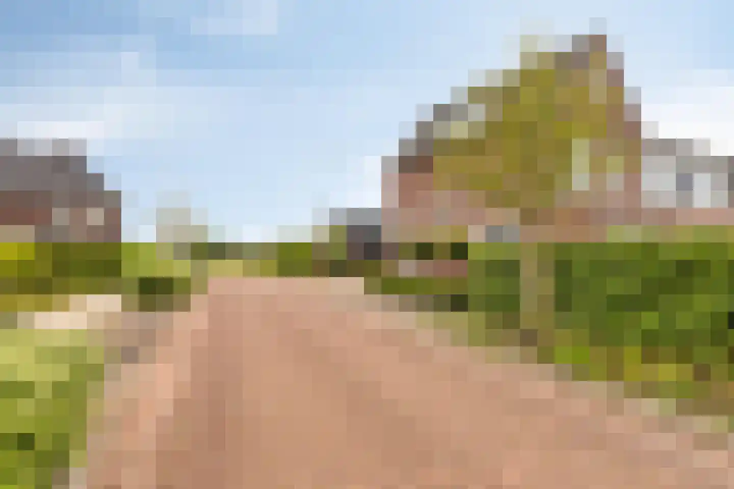 Den Dries 2 Boekel thumbnail 9