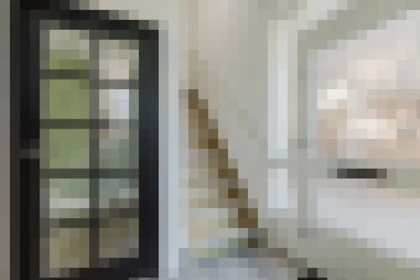 Den Dries 22 Liempde thumbnail 10