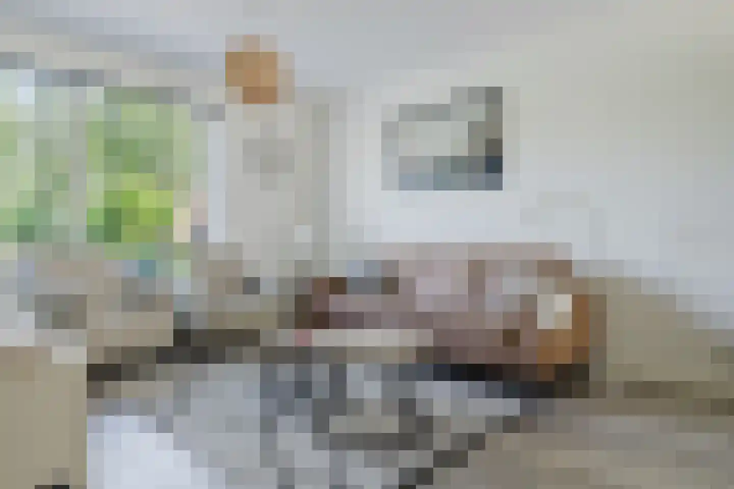 Den Dries 22 Liempde thumbnail 13