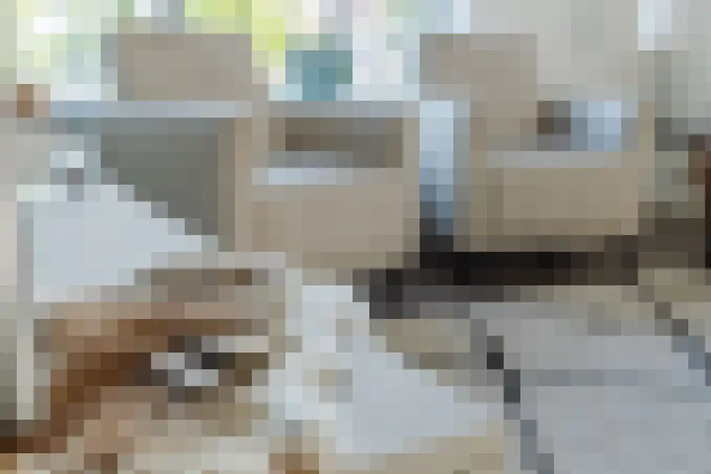 Den Dries 22 Liempde thumbnail 19