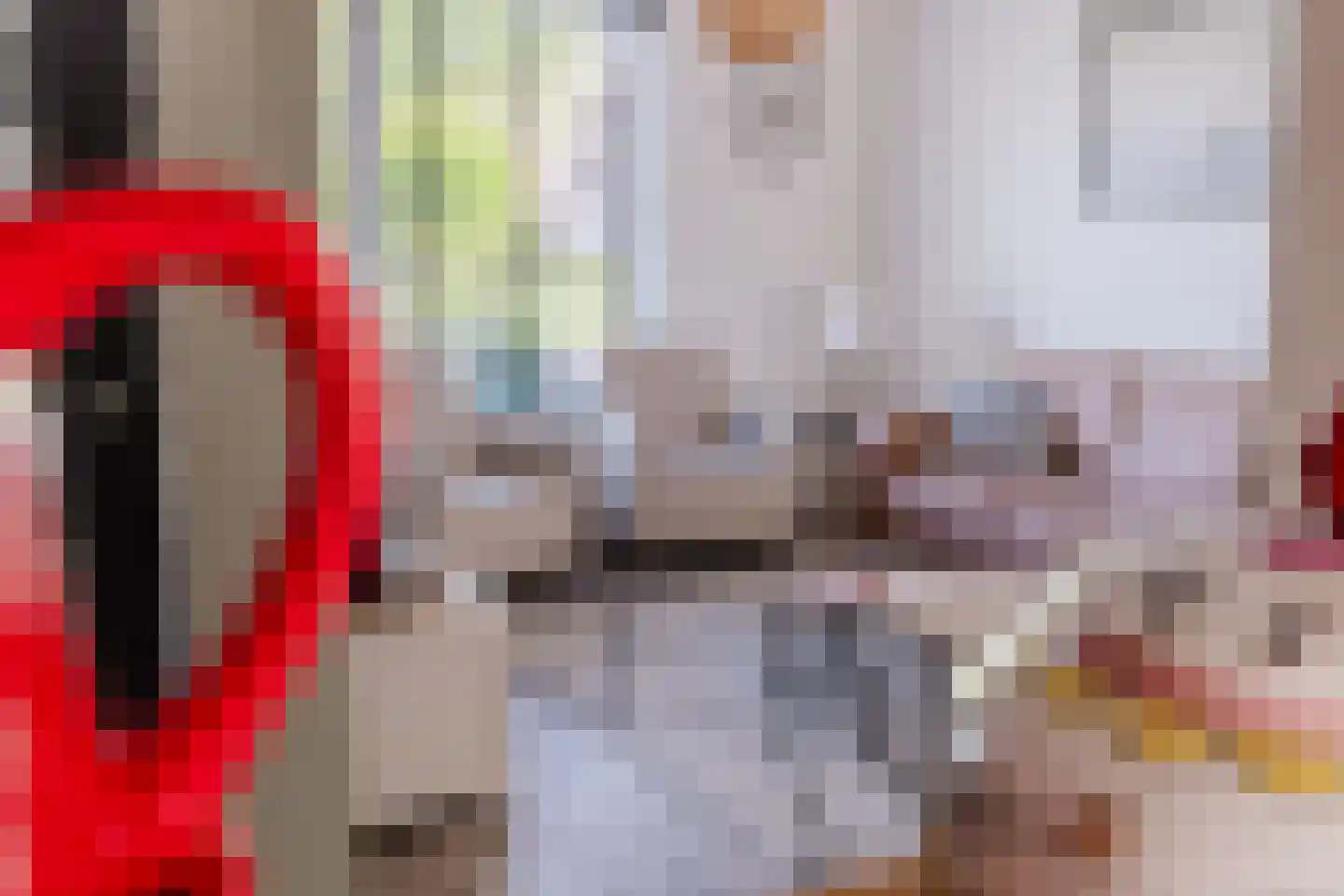 Den Dries 22 Liempde thumbnail 20