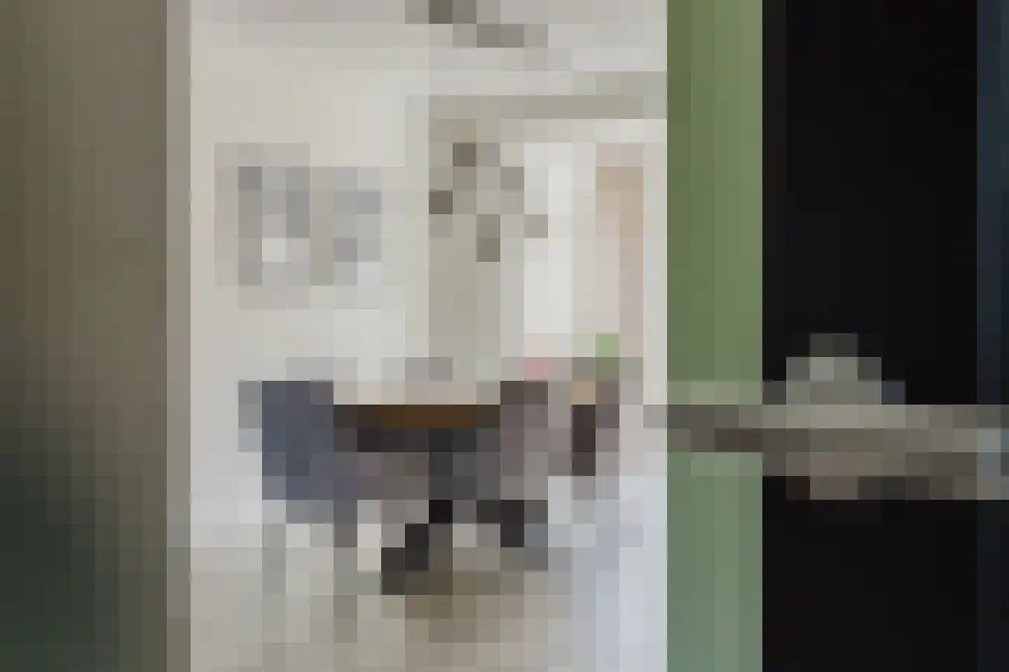 Den Dries 22 Liempde thumbnail 22
