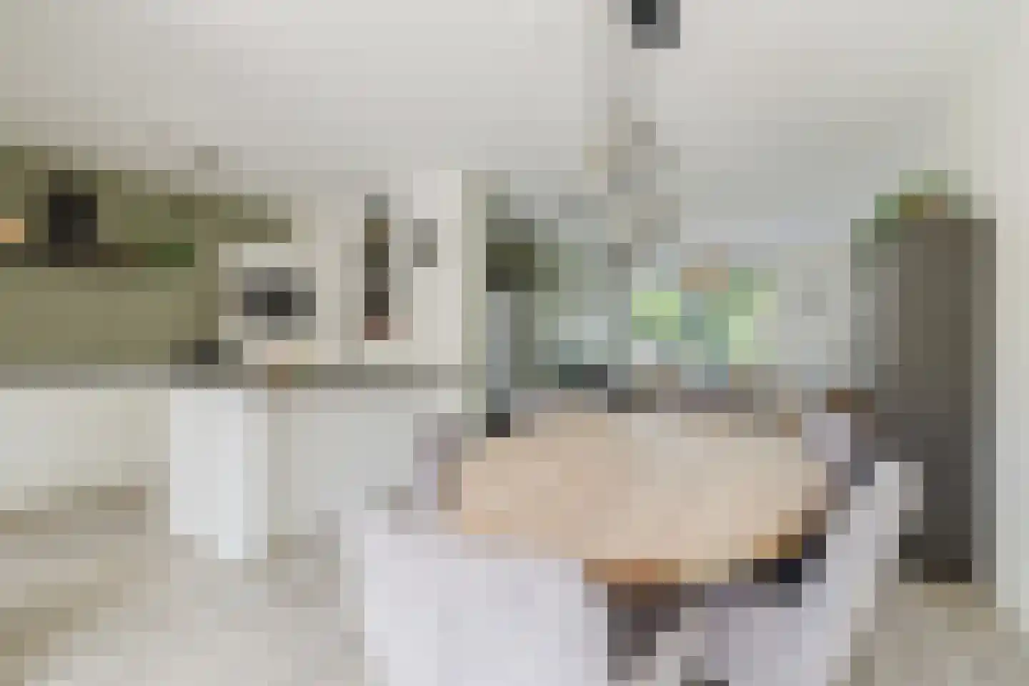 Den Dries 22 Liempde thumbnail 27