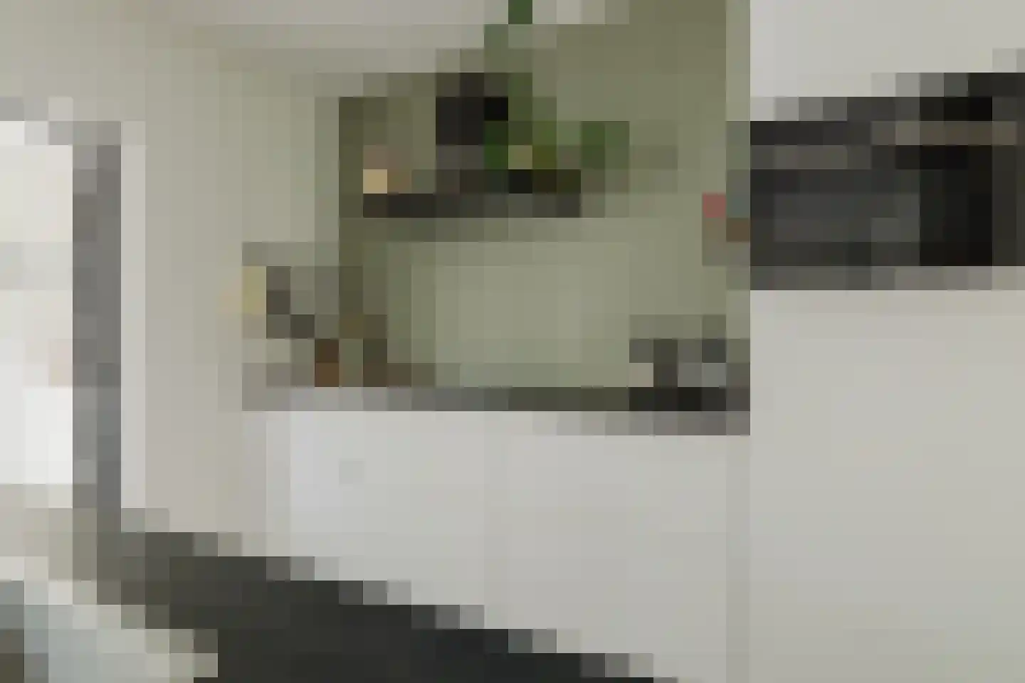 Den Dries 22 Liempde thumbnail 31