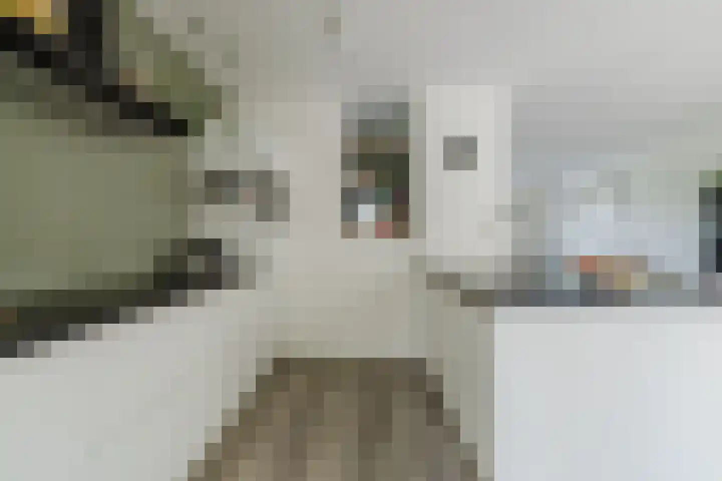 Den Dries 22 Liempde thumbnail 32