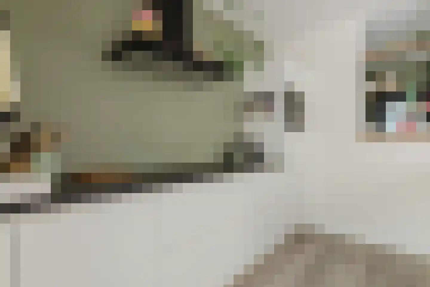 Den Dries 22 Liempde thumbnail 33