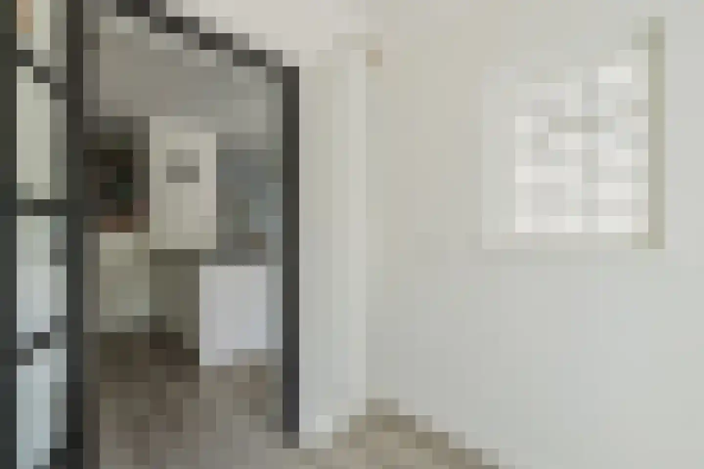Den Dries 22 Liempde thumbnail 34