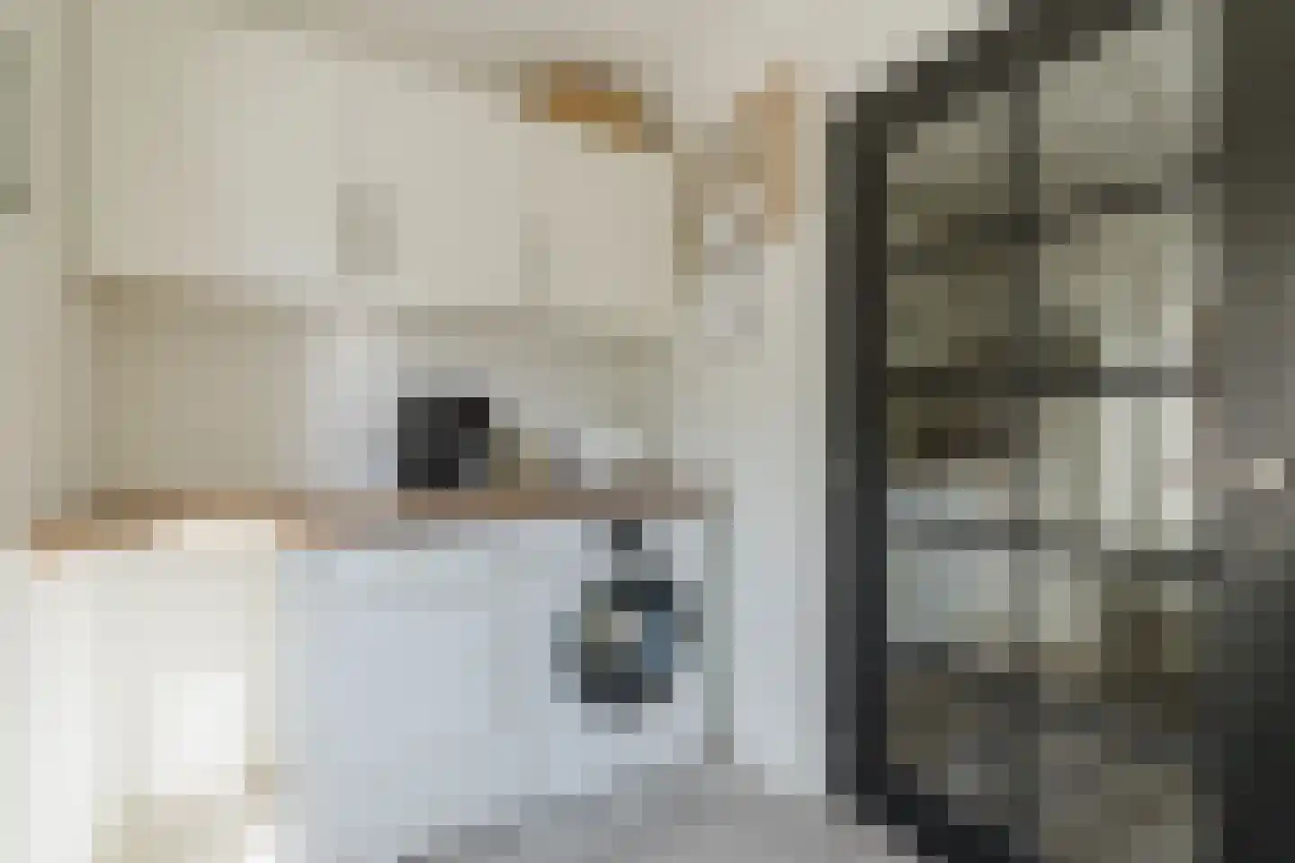 Den Dries 22 Liempde thumbnail 35