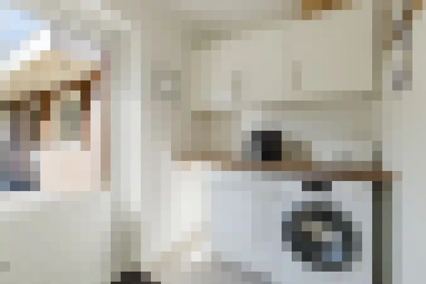 Den Dries 22 Liempde thumbnail 36